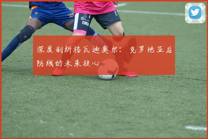 深度剖析格瓦迪奥尔:克罗地亚后防线的未来核心
